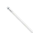 Philips Master Tube LED T8 (EM/Direct 230V) High Output T8 7.6W 1150lm - 840 Blanc Froid | 60cm - Remplacement 18W